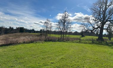 SE VENDEN PRECIOSAS PARCELAS SECTOR LAS QUEMAS OSORNO