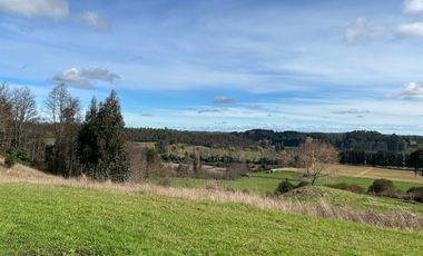 SE VENDEN PRECIOSAS PARCELAS SECTOR LAS QUEMAS OSORNO