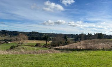 SE VENDEN PRECIOSAS PARCELAS SECTOR LAS QUEMAS OSORNO