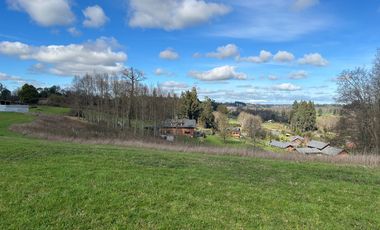 SE VENDEN PRECIOSAS PARCELAS SECTOR LAS QUEMAS OSORNO