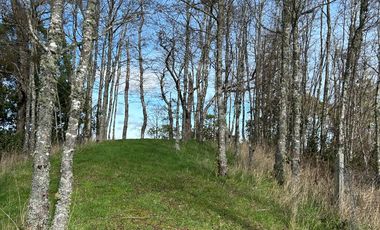 SE VENDEN PRECIOSAS PARCELAS SECTOR LAS QUEMAS OSORNO