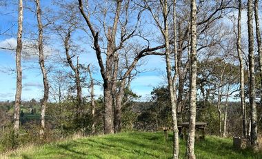SE VENDEN PRECIOSAS PARCELAS SECTOR LAS QUEMAS OSORNO