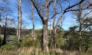 SE VENDEN PRECIOSAS PARCELAS SECTOR LAS QUEMAS OSORNO