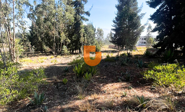 Terreno en Venta en Riobamba – Vía a Guano, Sector Petroecuador