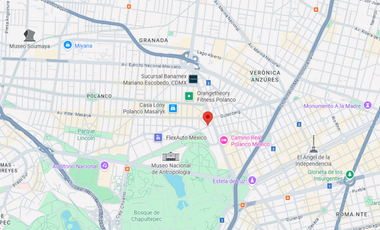 Gran Oportunidad Departament0 En Ruben Dario Polanco V, A Un Costado De Masaryk Agenda Tu Visita Con 24 Horas De Anticipacion, Solo Recursos Propios