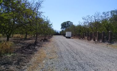 Se Vende Parcelas Lonquen Norte.