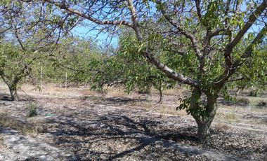 Se Vende Parcelas Lonquen Norte.
