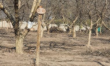 Se Vende Parcelas Lonquen Norte.