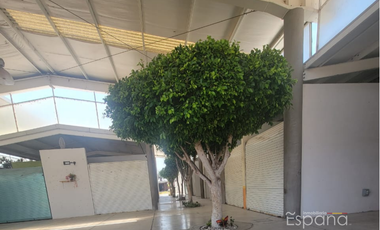 Plaza Comercial en venta en Atlixco, Puebla