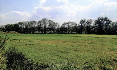 Rancho En Acatlán, Hidalgo (producción Ganadera Y de Queso).
