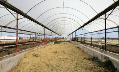Rancho En Acatlán, Hidalgo (producción Ganadera Y de Queso).