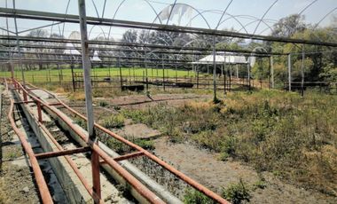 Rancho En Acatlán, Hidalgo (producción Ganadera Y de Queso).