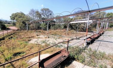 Rancho En Acatlán, Hidalgo (producción Ganadera Y de Queso).
