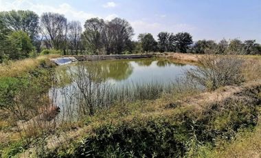 Rancho En Acatlán, Hidalgo (producción Ganadera Y de Queso).