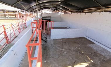 Rancho En Acatlán, Hidalgo (producción Ganadera Y de Queso).