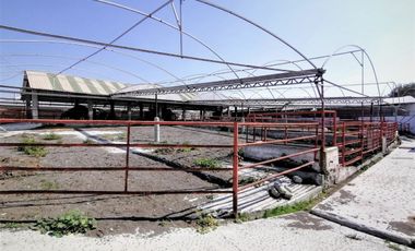 Rancho En Acatlán, Hidalgo (producción Ganadera Y de Queso).