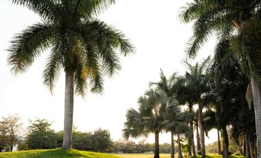 Espectacular Casa en Venta Paraíso Country Club