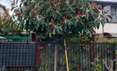 Casa En Venta Entre Caleta Agua Dulce Y Domingo Tocornal