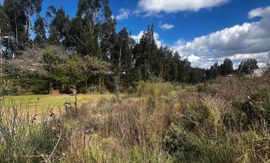 hermoso terreno en venta en pleno Ricaurte