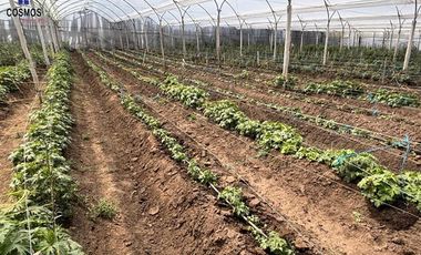 Venta de terreno con invernaderos en Carchi sector García Moreno