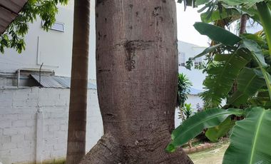 CÓD. 1087. CASA ESTILO COLONIAL A LA VENTA EN LA PROVIDENCIA, CARTAGENA DE INDIAS.