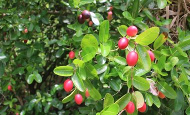 3BR Cliff House with Panoramic Ocean Views and Stunning Sunsets