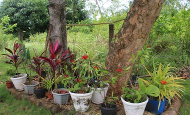 3BR Cliff House with Panoramic Ocean Views and Stunning Sunsets