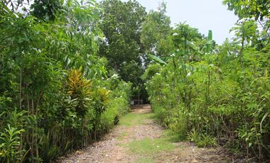 3BR Cliff House with Panoramic Ocean Views and Stunning Sunsets