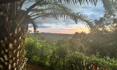 VENTA/RENTA, HERMOSA QUINTA VACACIONAL AMOBLADA PEDRO VICENTE MALDONADO