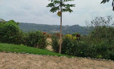 VENTA/RENTA, HERMOSA QUINTA VACACIONAL AMOBLADA PEDRO VICENTE MALDONADO