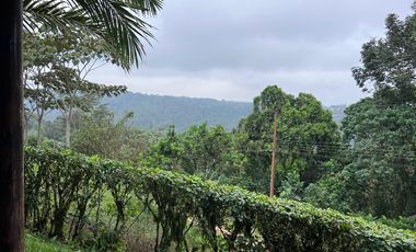 VENTA/RENTA, HERMOSA QUINTA VACACIONAL AMOBLADA PEDRO VICENTE MALDONADO