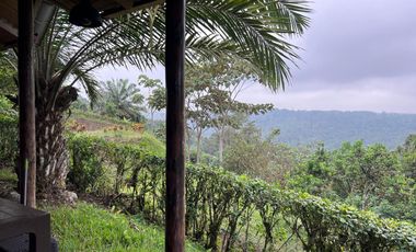 VENTA/RENTA, HERMOSA QUINTA VACACIONAL AMOBLADA PEDRO VICENTE MALDONADO