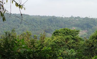 VENTA/RENTA, HERMOSA QUINTA VACACIONAL AMOBLADA PEDRO VICENTE MALDONADO