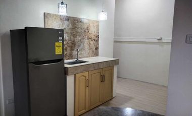 Move in Ready! 2 BR Furnished Apartment in Maa Near Downtown Davao  with Wrap around Terrace