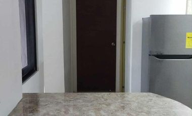 Move in Ready! 2 BR Furnished Apartment in Maa Near Downtown Davao  with Wrap around Terrace
