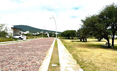 VENTA TERRENO HABITACIONAL de 195m2 en Residencial El Encino, S. del Abeto Lt.2