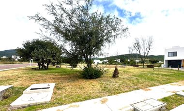 VENTA TERRENO HABITACIONAL de 195m2 en Residencial El Encino, S. del Abeto Lt.2