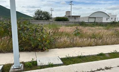 VENTA TERRENO HABITACIONAL de 199 m2 en Residencial El Encino, S. del Olmo Lt.1