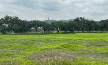 VENTA TERRENO Habitacional en Fracc. El Encino, con campo de GOLF