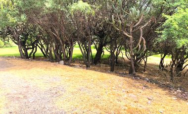 VENTA TERRENO HABITACIONAL en El Encino Residencial & Golf Lote 22