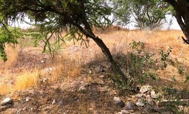 VENTA TERRENO HABITACIONAL en El Encino Residencial & Golf Lote 22