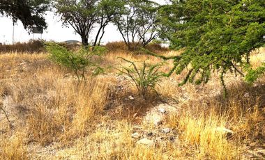 VENTA TERRENO HABITACIONAL en El Encino Residencial & Golf Lote 22