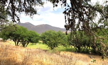 VENTA TERRENO HABITACIONAL en El Encino Residencial & Golf Lote 22