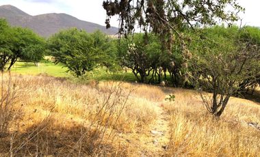 VENTA TERRENO HABITACIONAL en El Encino Residencial & Golf Lote 22