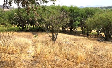 VENTA TERRENO HABITACIONAL en El Encino Residencial & Golf Lote 22