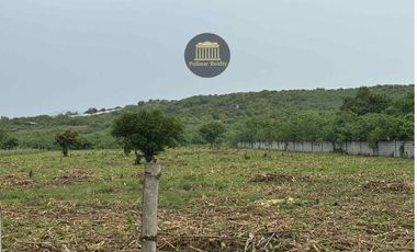 𝟏𝟎𝟏.𝟒𝟑 𝐇𝐄𝐂𝐓𝐀𝐑𝐄𝐒 𝐀𝐆𝐑𝐈-𝐑𝐄𝐒𝐈𝐃𝐄𝐍𝐓𝐈𝐀𝐋 𝐋𝐎𝐓 𝐅𝐎𝐑 𝐒𝐀𝐋𝐄 @ 𝐁𝐑𝐆𝐘. 𝐓𝐀𝐌𝐁𝐋𝐄𝐑, 𝐆𝐄𝐍𝐄𝐑𝐀𝐋 𝐒𝐀𝐍𝐓𝐎𝐒 𝐂𝐈𝐓𝐘