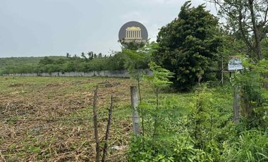 𝟏𝟎𝟏.𝟒𝟑 𝐇𝐄𝐂𝐓𝐀𝐑𝐄𝐒 𝐀𝐆𝐑𝐈-𝐑𝐄𝐒𝐈𝐃𝐄𝐍𝐓𝐈𝐀𝐋 𝐋𝐎𝐓 𝐅𝐎𝐑 𝐒𝐀𝐋𝐄 @ 𝐁𝐑𝐆𝐘. 𝐓𝐀𝐌𝐁𝐋𝐄𝐑, 𝐆𝐄𝐍𝐄𝐑𝐀𝐋 𝐒𝐀𝐍𝐓𝐎𝐒 𝐂𝐈𝐓𝐘