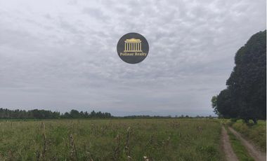 𝟔𝟎 𝐇𝐄𝐂𝐓𝐀𝐑𝐄𝐒 𝐀𝐆𝐑𝐈-𝐑𝐄𝐒𝐈𝐃𝐄𝐍𝐓𝐈𝐀𝐋 𝐋𝐎𝐓 𝐅𝐎𝐑 𝐒𝐀𝐋𝐄 @ 𝐁𝐑𝐆𝐘. 𝐒𝐀𝐍 𝐈𝐒𝐈𝐃𝐑𝐎, 𝐆𝐄𝐍𝐄𝐑𝐀𝐋 𝐒𝐀𝐍𝐓𝐎𝐒 𝐂𝐈𝐓𝐘