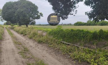 𝟔𝟎 𝐇𝐄𝐂𝐓𝐀𝐑𝐄𝐒 𝐀𝐆𝐑𝐈-𝐑𝐄𝐒𝐈𝐃𝐄𝐍𝐓𝐈𝐀𝐋 𝐋𝐎𝐓 𝐅𝐎𝐑 𝐒𝐀𝐋𝐄 @ 𝐁𝐑𝐆𝐘. 𝐒𝐀𝐍 𝐈𝐒𝐈𝐃𝐑𝐎, 𝐆𝐄𝐍𝐄𝐑𝐀𝐋 𝐒𝐀𝐍𝐓𝐎𝐒 𝐂𝐈𝐓𝐘