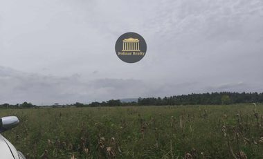 𝟔𝟎 𝐇𝐄𝐂𝐓𝐀𝐑𝐄𝐒 𝐀𝐆𝐑𝐈-𝐑𝐄𝐒𝐈𝐃𝐄𝐍𝐓𝐈𝐀𝐋 𝐋𝐎𝐓 𝐅𝐎𝐑 𝐒𝐀𝐋𝐄 @ 𝐁𝐑𝐆𝐘. 𝐒𝐀𝐍 𝐈𝐒𝐈𝐃𝐑𝐎, 𝐆𝐄𝐍𝐄𝐑𝐀𝐋 𝐒𝐀𝐍𝐓𝐎𝐒 𝐂𝐈𝐓𝐘